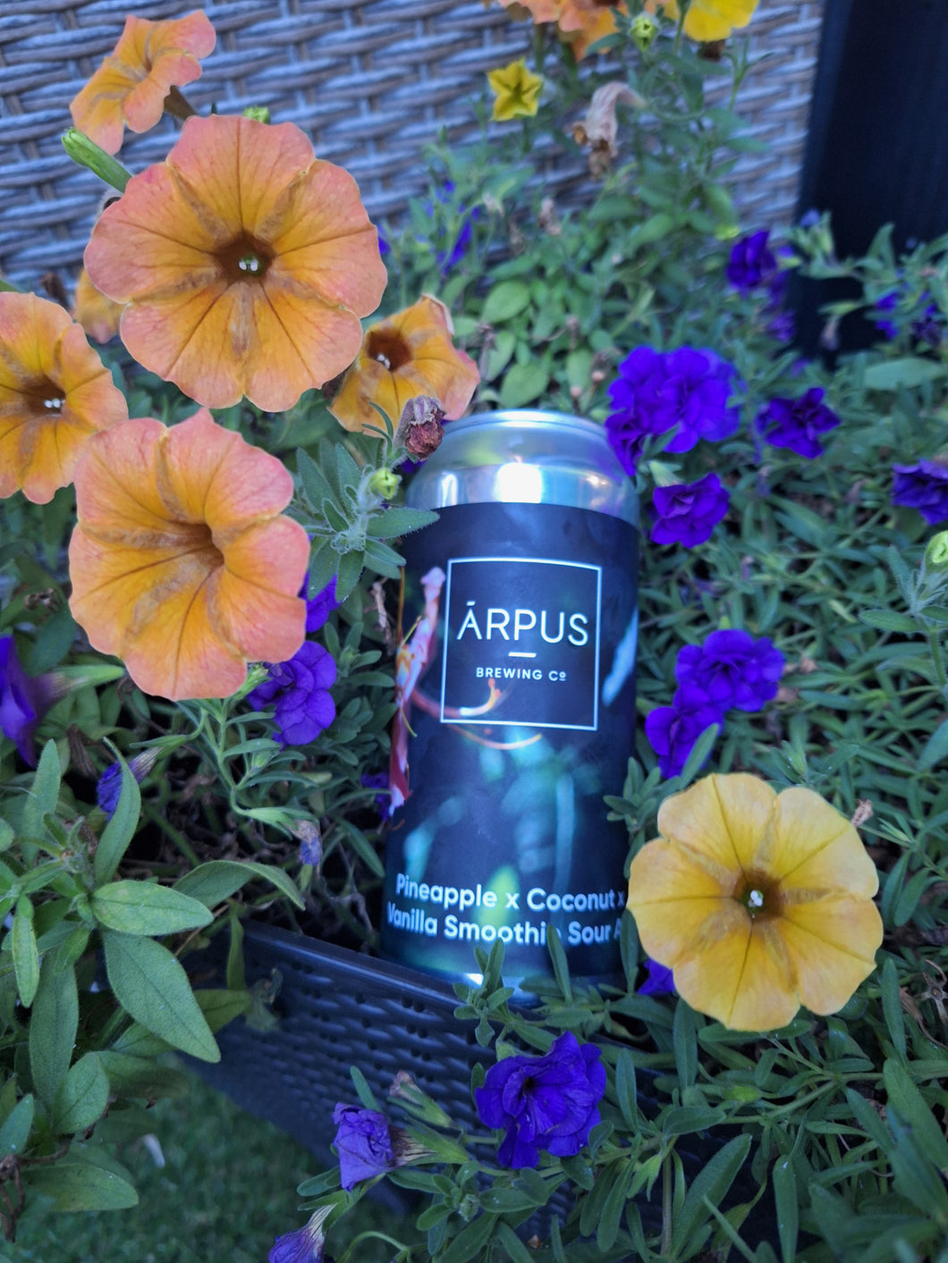 Ārpus Brewing Co. Pineapple x Coconut x Vanilla Smoothie Sour Ale