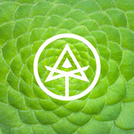 Autodidact Beer Inner Paths