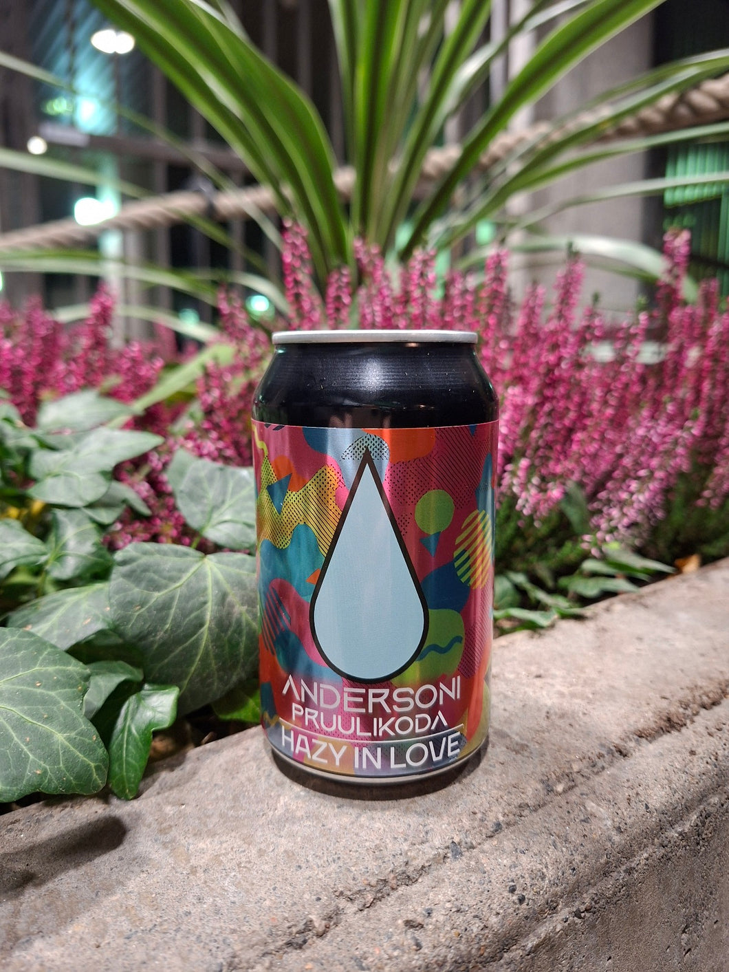 Andersons Hazy in Love