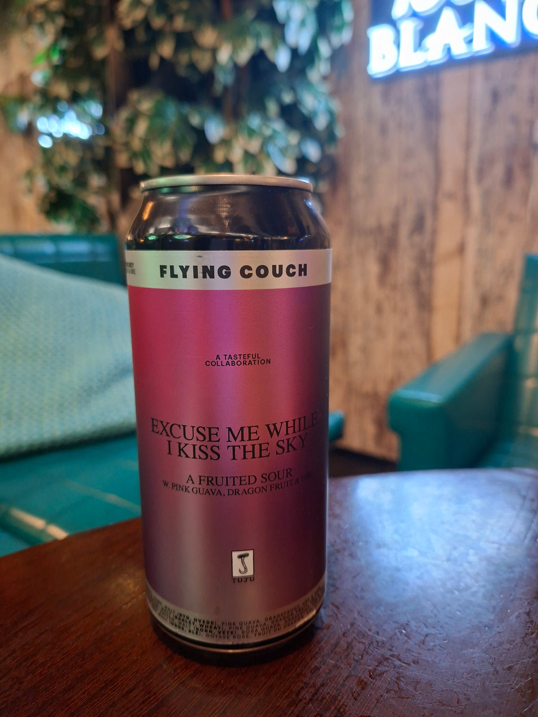 Flying Couch x Tuju Excuse me while I Kiss the Sky