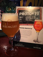 Malmgård Proto #19