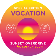Vocation Sunset Overdrive