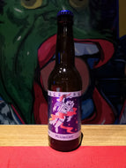 Mikkeller Space Race